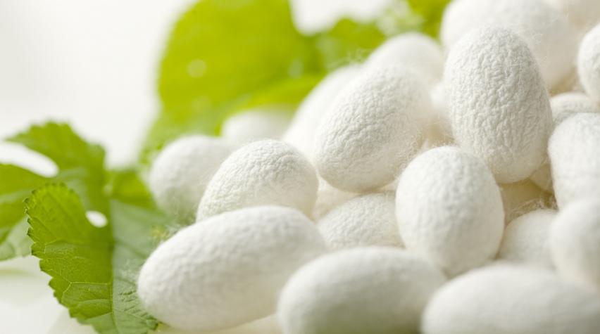 Silk protein has been listed as an important breakthrough in